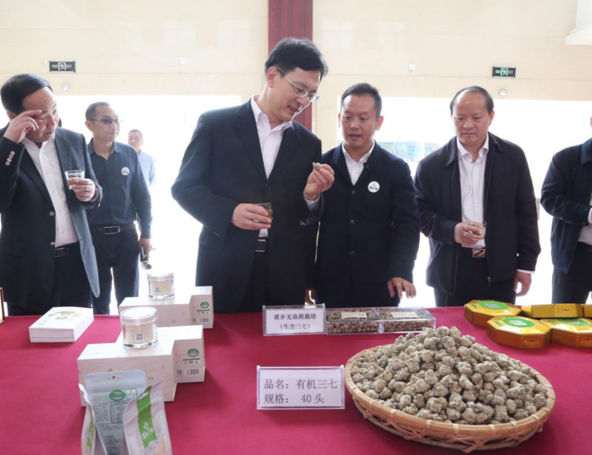 上海市政協(xié)副主席李逸平一行蒞臨苗鄉(xiāng)三七科技園調研指導工作