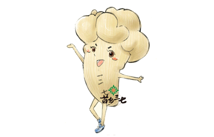 吃三七的五大禁忌，你知道嗎？