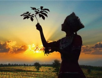 吃三七要在什么年齡，又有什么好處？?