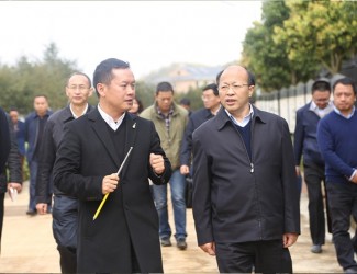 云南省委常委、副書記李秀領(lǐng)一行到苗鄉(xiāng)三七科技示范園考察調(diào)研