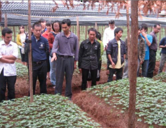 苗鄉(xiāng)旗下各公司組織部分員工參觀學習公司產業(yè)鏈