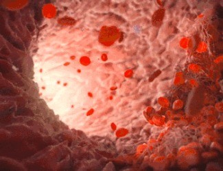 為什么三七被稱(chēng)為“血管清道夫”？