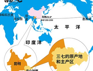 三七產(chǎn)地哪里的最好，廣西田七與云南三七有何區(qū)別