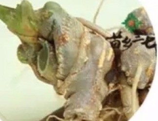 買三七注意事項，帶剪口和不帶剪口的巨大區(qū)別