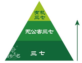 三七有幾個等級？分級依據(jù)是什么？