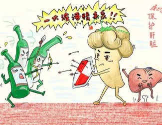 春季養(yǎng)肝正當(dāng)時，三七保肝有奇效