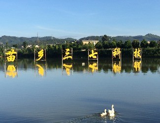 首個(gè)國(guó)家三七新品種誕生記——第4季