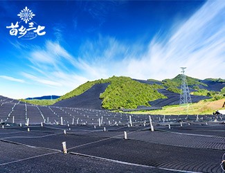 慢性咽炎怎么辦，秋季養(yǎng)生有妙招