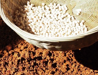 三七的一生——建棚、播種（二）