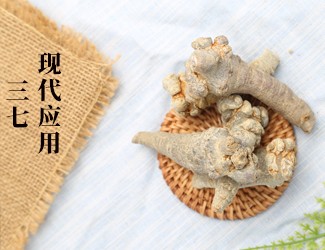 三七的功效作用在現(xiàn)代臨床中的應用，揭秘醫(yī)生如何用三七治病