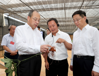 云南省委書記阮成發(fā)省長(zhǎng)王予波等領(lǐng)導(dǎo)到苗鄉(xiāng)三七調(diào)研指導(dǎo)