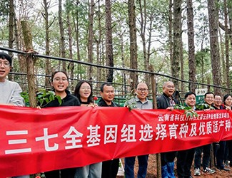 無數(shù)次從零到一，無數(shù)人前赴后繼守護三七“種業(yè)芯片”