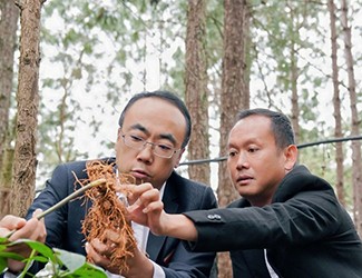 三七良種喜獲豐收，實(shí)現(xiàn)產(chǎn)量含量雙突破！