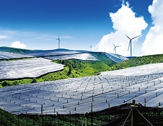 董林林博士如何看待苗鄉(xiāng)全產(chǎn)業(yè)鏈品控管理體系？