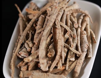 什么是三七大根？三七大根與主根有什么不同？